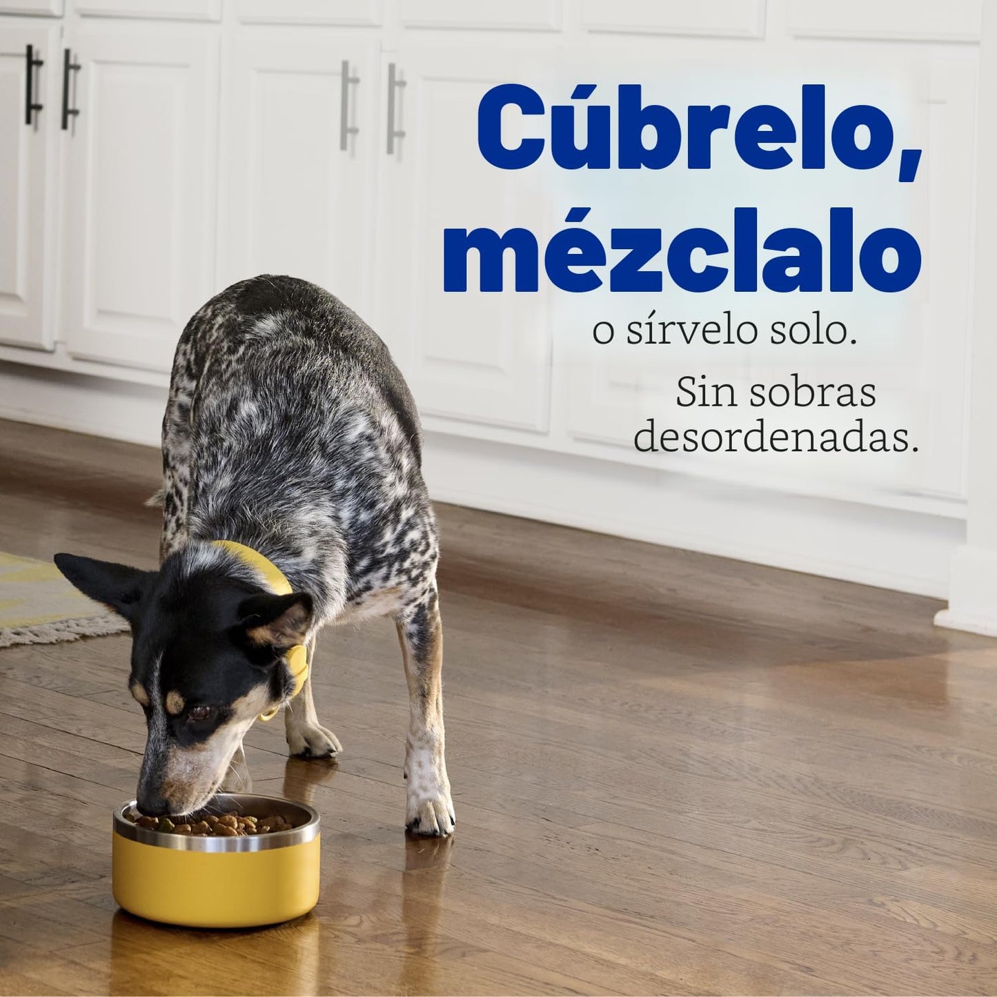 Pedigree Choice Cuts in Gravy - Paquete variado de alimentos húmedo...