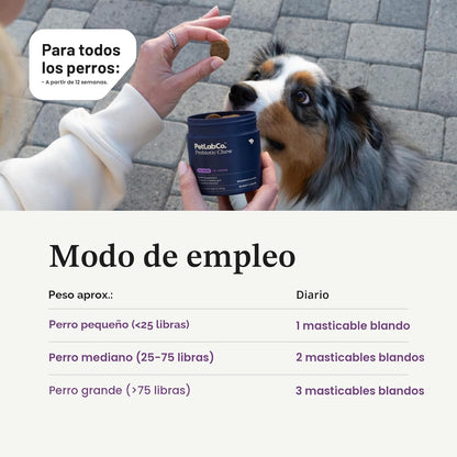 PetLab Co. Probióticos para perros, ayudan a la salud intestinal, l...