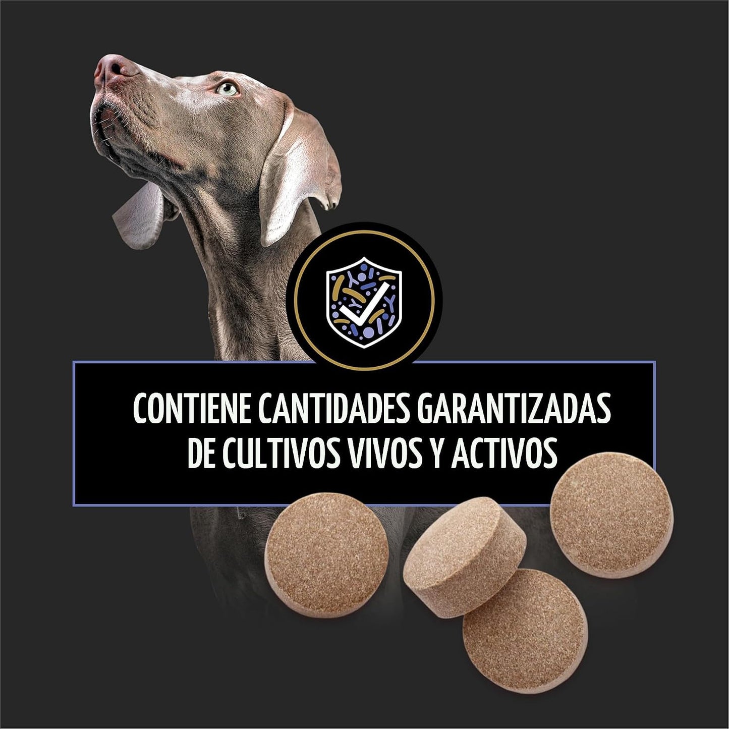 Purina Pro Plan - Suplementos veterinarios Fortiflora Probióticos p...