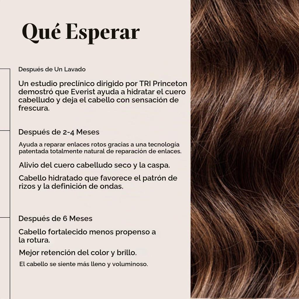 Everist Haircare Meets Skincare Set Champú y acondicionador profund...