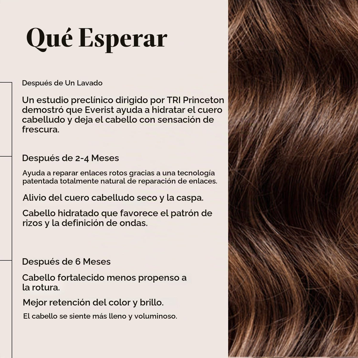 Everist Haircare Meets Skincare Set Champú y acondicionador profund...
