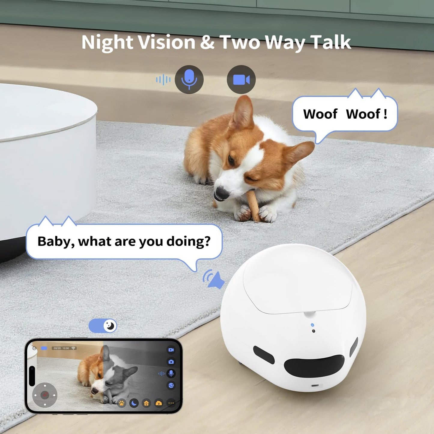 pumpkii Cámara para gatos con juguete puntero interactivo, robot mó...