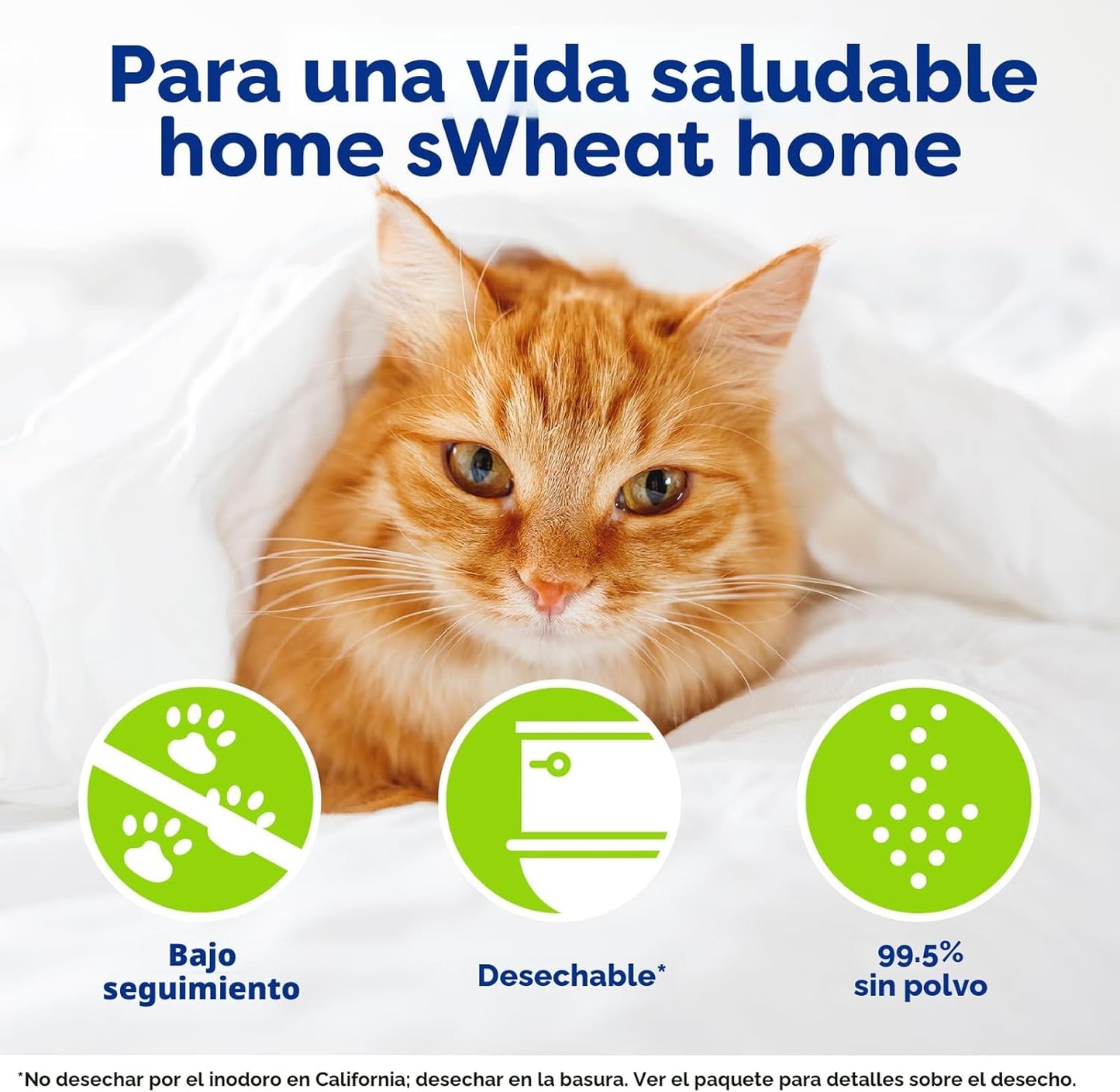 Arena absorbente para gatos sWheat Scoop Multi-cat, todo natural