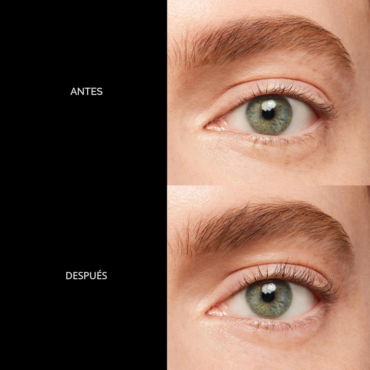 Shiseido Rizador de Pestañas - Riza y ondula las pestañas para una franja enmarcada perfecta - Suave y seguro - Incluye almohadilla de repuesto