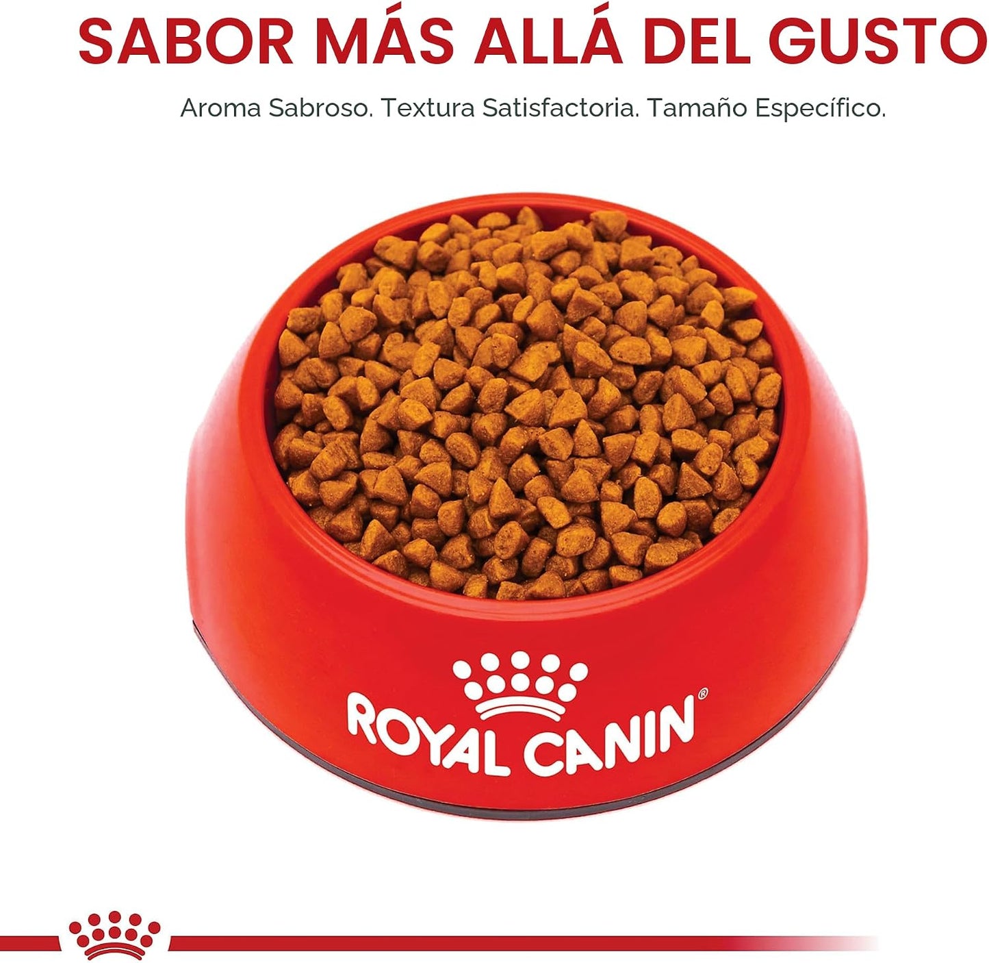 De Royal Canin, Size Health Nutrition, comida seca para cachorros e...