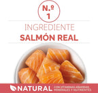 Purina ONE Alimento Natural para Gatos Bajo en Grasa, Alimento Seco...