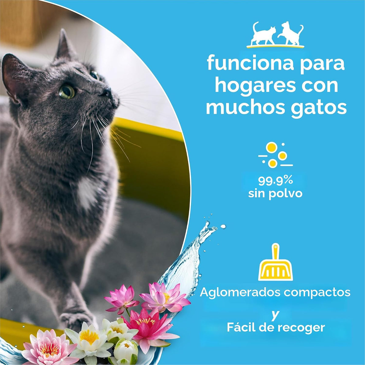 Purina Tidy Cats Arena Aglomerante para Múltiples Gatos, Glade Clea...