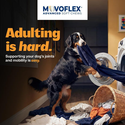 MOVOFLEX Virbac - Suplemento de apoyo para articulaciones de cadera...