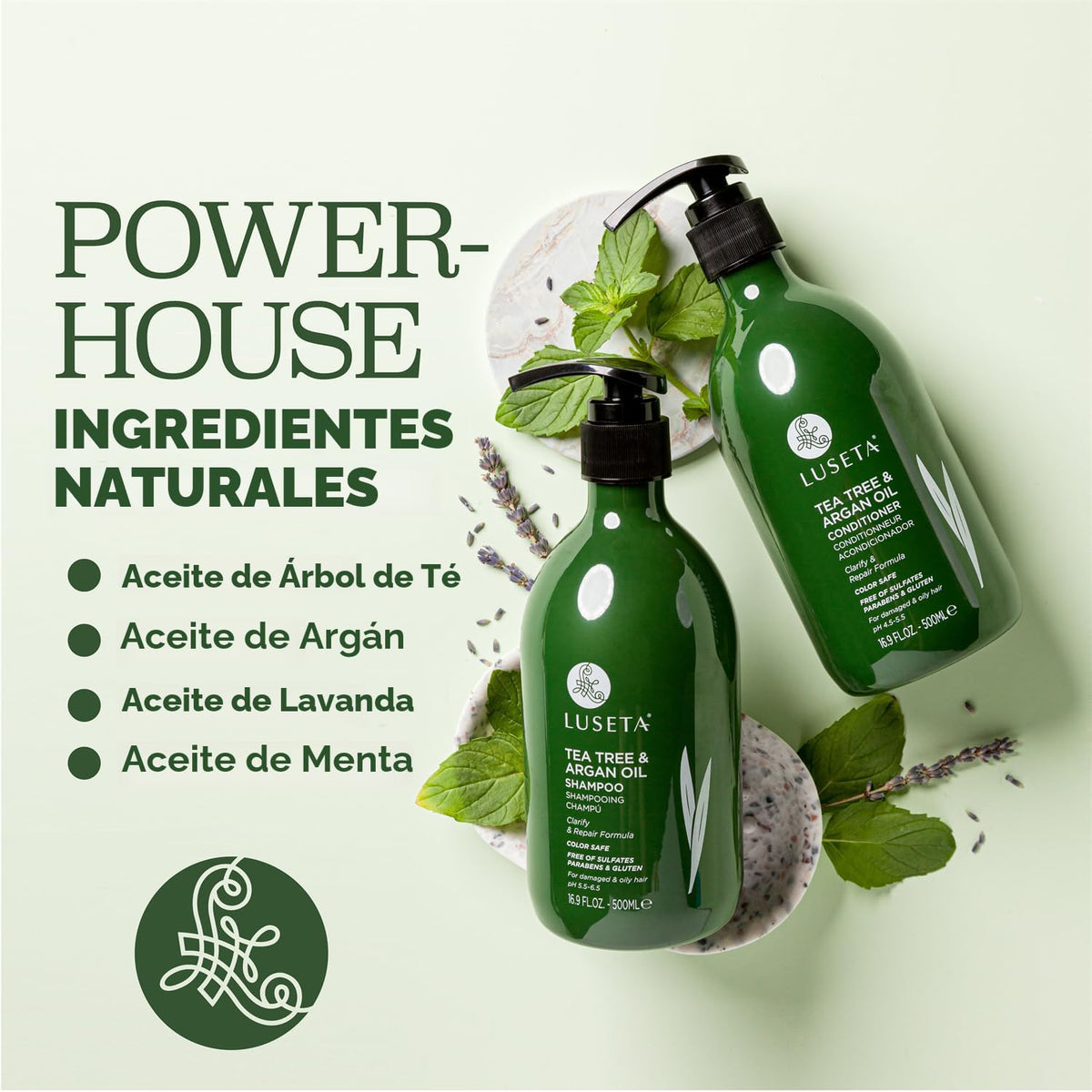 Champú desenredante de aceite de Argán y árbol de té, varios tamaños