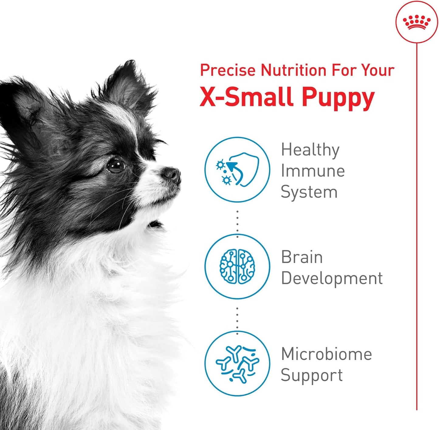 De Royal Canin, Size Health Nutrition, comida seca para cachorros e...