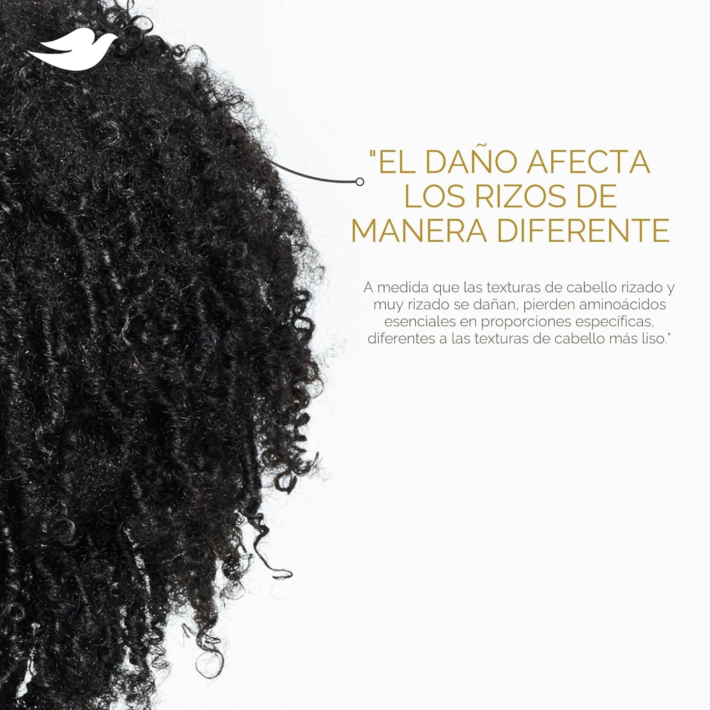 Dove Mascarilla en Crema Reparadora de Rizos Hair Amino 10 en 1 par...
