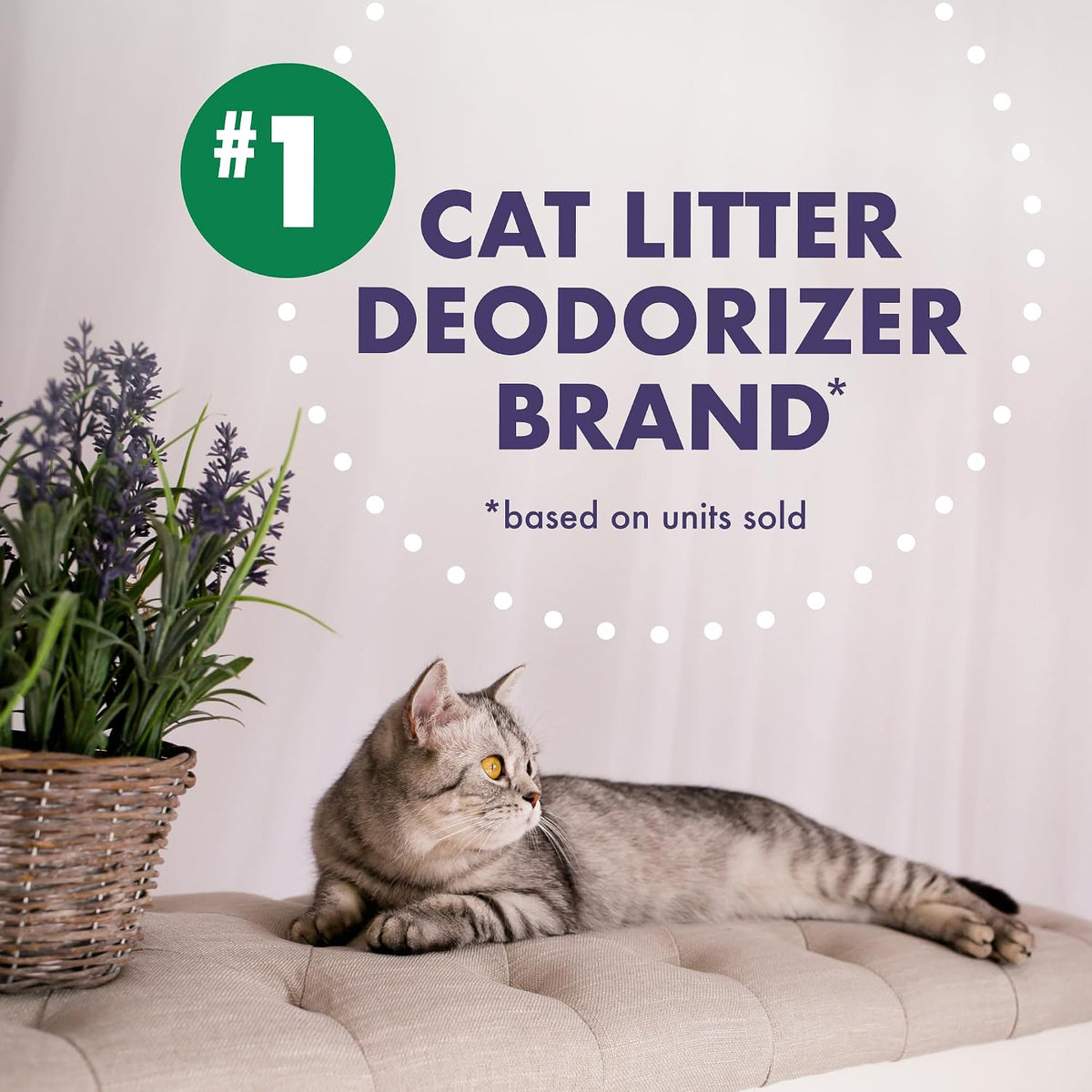 ARM &amp; HAMMER Forever Fresh Desodorizador de arena para gatos, 3...