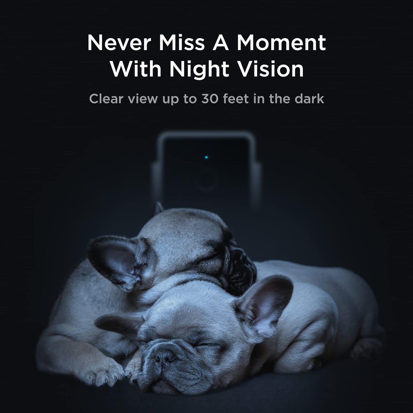 Petcube Cam | Cámara Wi-Fi interior para mascotas y de seguridad co...