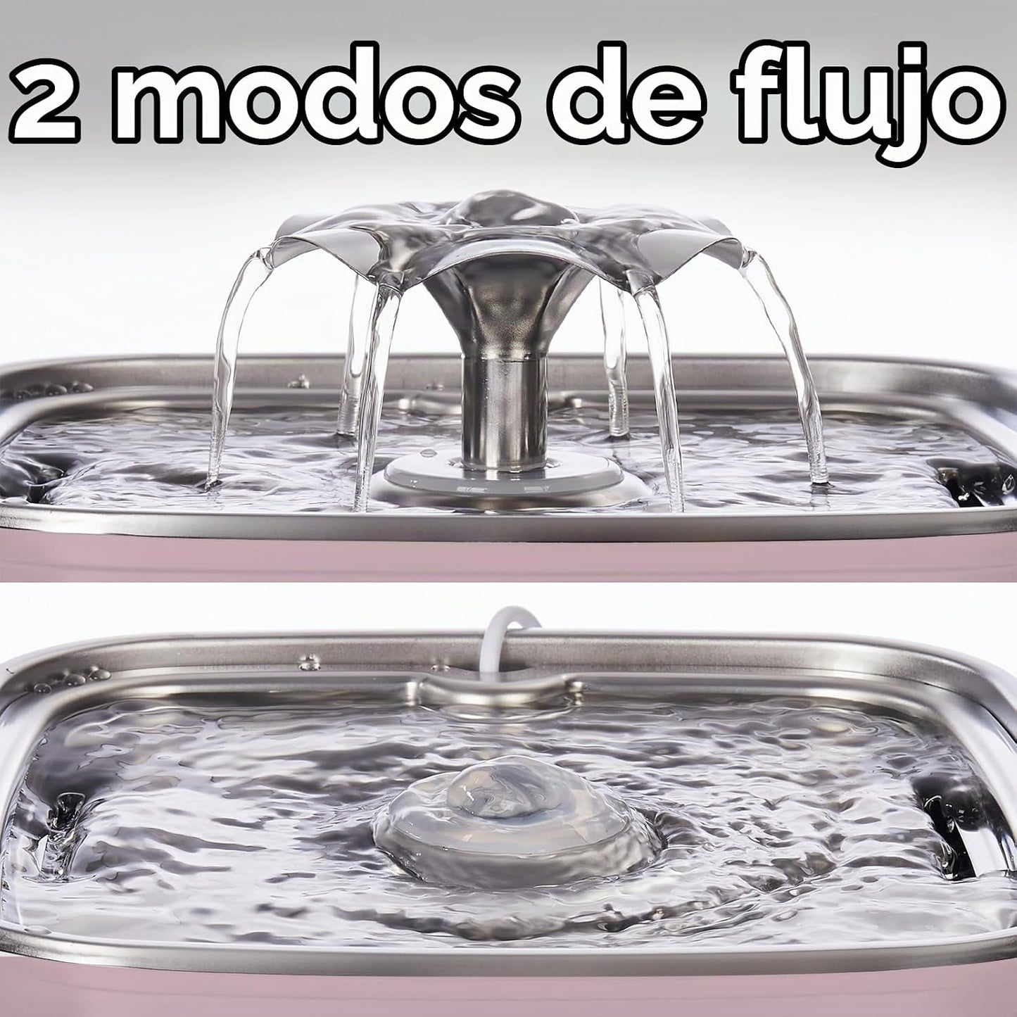 Fuente de agua para gatos de acero inoxidable, ganadora del premio...