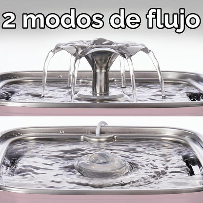 Fuente de agua para gatos de acero inoxidable, ganadora del premio...