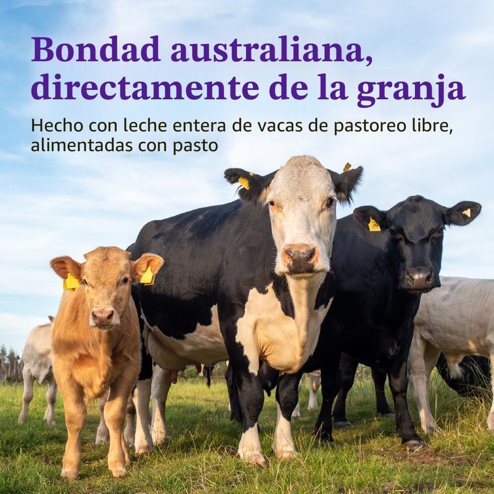 Bubs Fórmula Infantil de 365 Días de Ganado Alimentado con Pasto co...