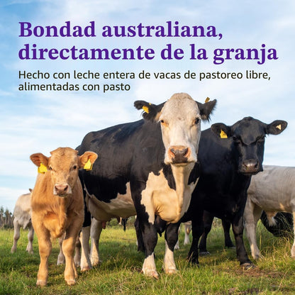 Bubs Fórmula Infantil de 365 Días de Ganado Alimentado con Pasto co...