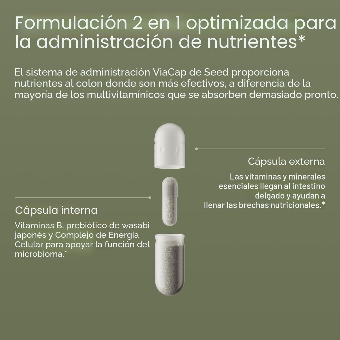Seed DM-02 Multivitamínico diario \u2013 Vitaminas y minerales esen...