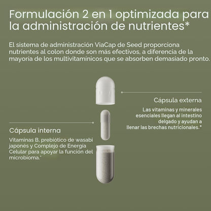 Seed DM-02 Multivitamínico diario \u2013 Vitaminas y minerales esen...