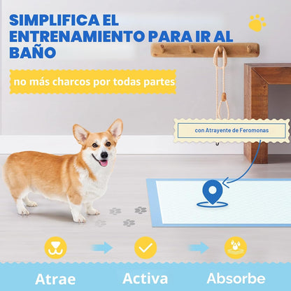 Powools Paquete de 100 Almohadillas para Cachorros Extra Grandes -...