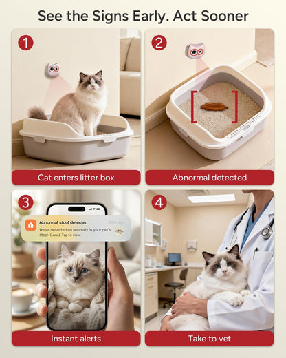 SiiPet Cámara de caja de arena \u2013 Monitoreo de la salud del gat...