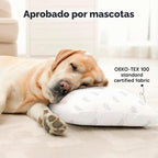 Paquete de 2 almohadas para niños de 2 años a 5,13 x 18 pulgadas (a...