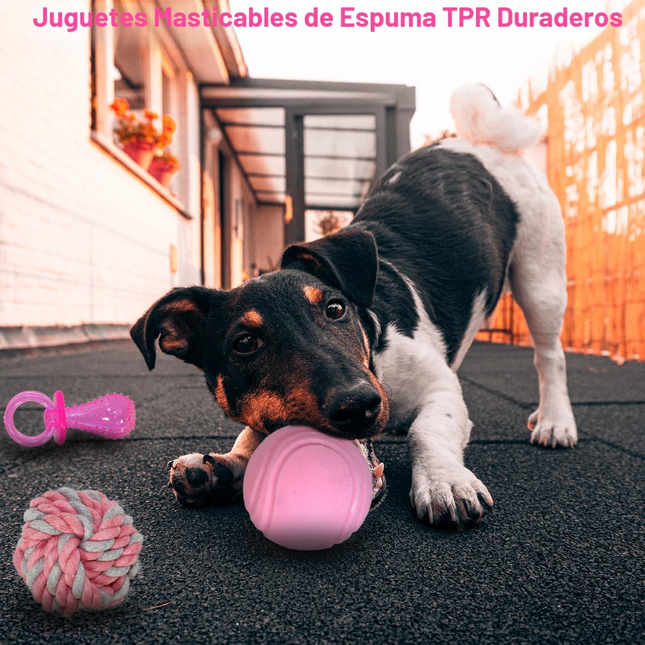 Beiker Paquete de 20 juguetes masticables rosados para cachorros, j...