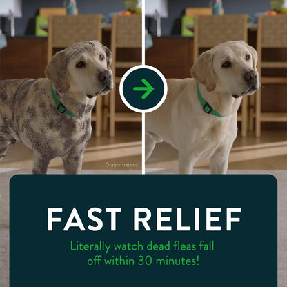 Novartis Capstar Verde para perros de más de 25 libras - 6 tabletas