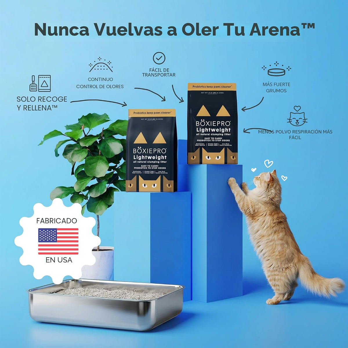 Boxie - Arena probiótica natural ligera para gatos de más de 40 día...