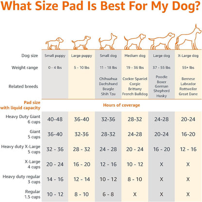 Amazon Basics Almohadillas para orinar para perros y cachorros, 5 c...