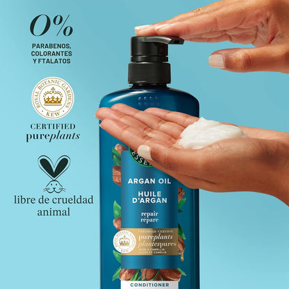 Herbal Essences Juego de champú y acondicionador reparador de aceite de argán, hidrata y suaviza, sin parabenos, seguro para el color, pH equilibrado, aroma cítrico, 20.2 onzas líquidas, paquete de 2