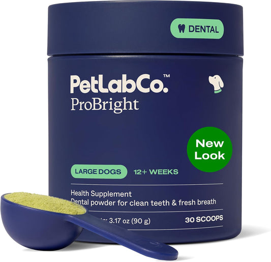 Polvo dental ProBright de PetLab Co. - Desodorante de aliento para...