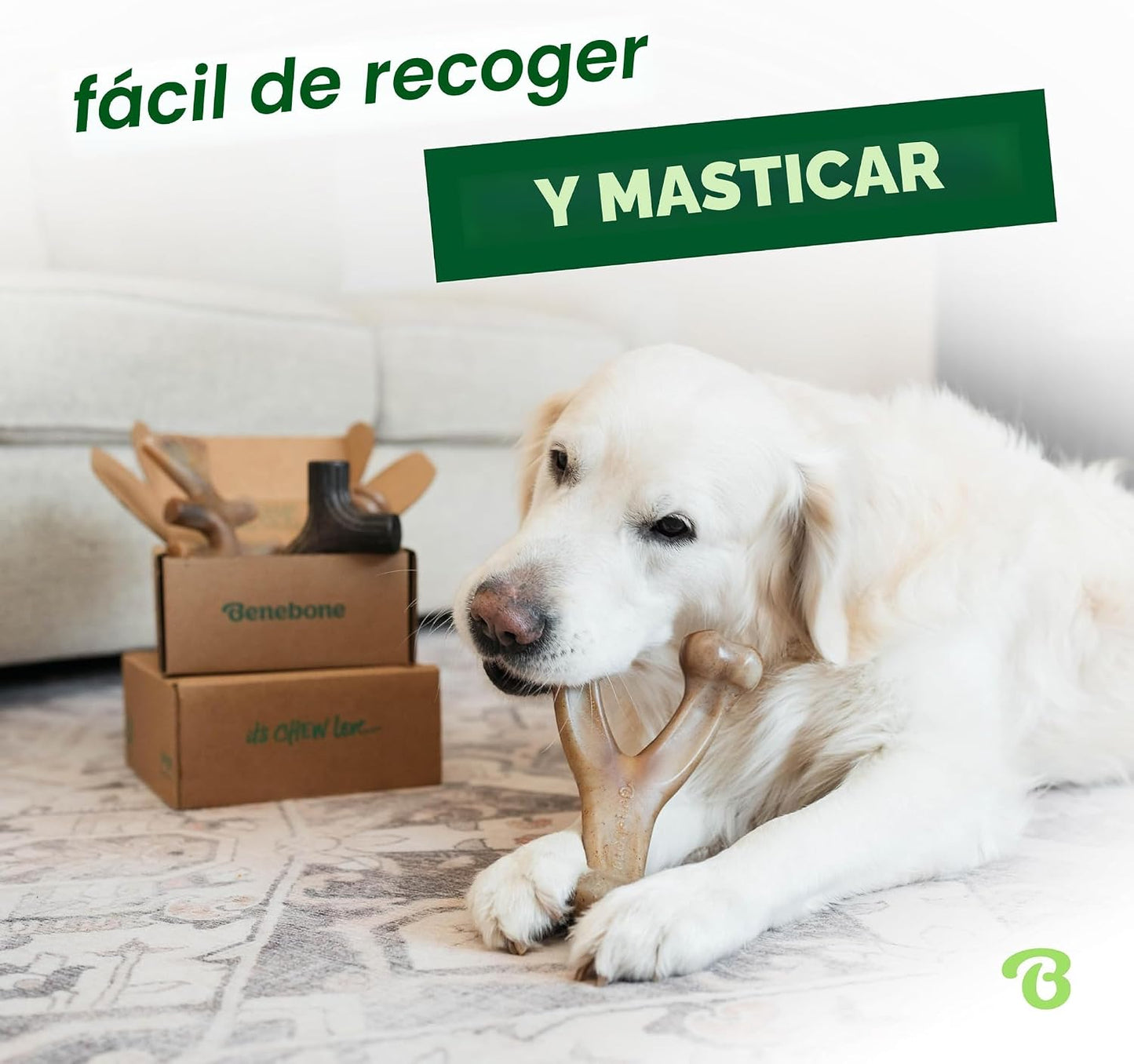 Benebone Paquete de 4 juguetes masticables medianos para perros par...