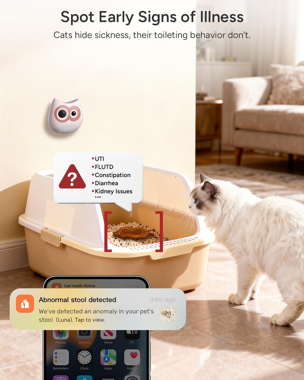 SiiPet Cámara de caja de arena: monitoreo de la salud del gato con...