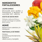 Set de Champú y Acondicionador de Jazmín y Agave de Pacifica \u2013...