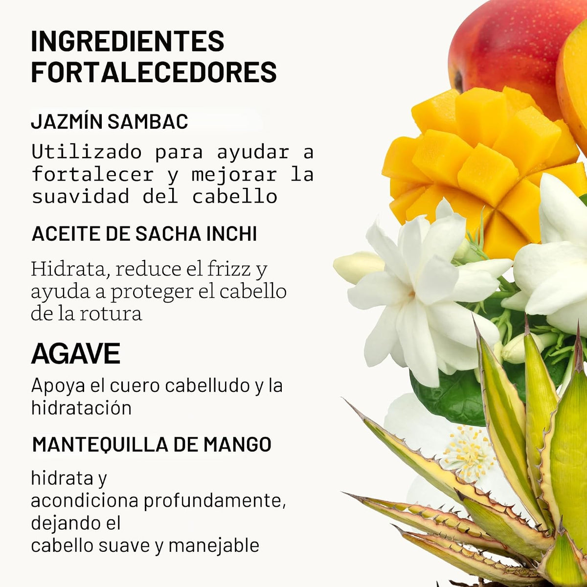 Set de Champú y Acondicionador de Jazmín y Agave de Pacifica \u2013...