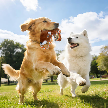 MAOOOOB Juguetes chirriantes para perros, sin relleno, paquete de 5...
