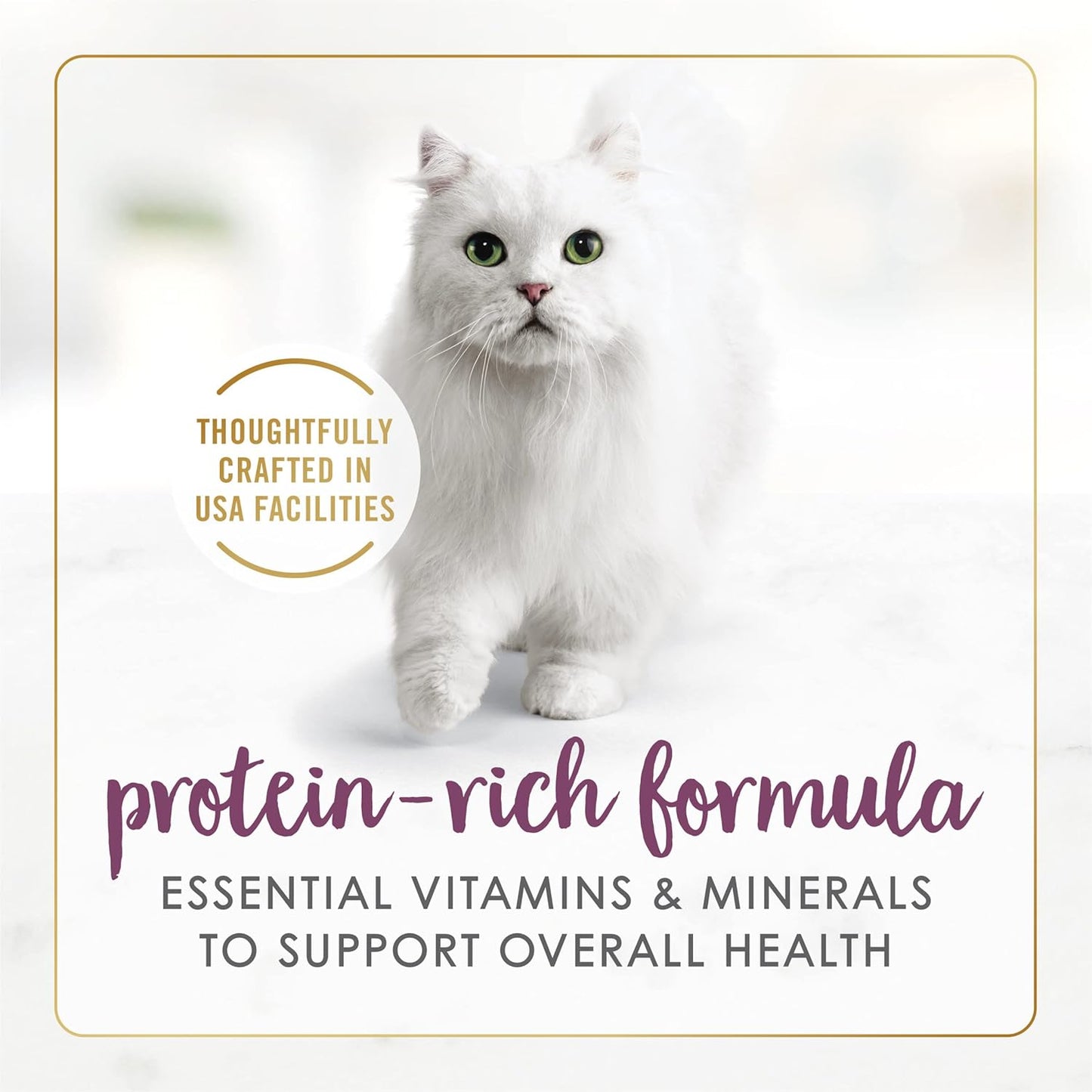 Fancy Feast Purina Gravy Lovers Chicken Feast en comida húmeda gour...