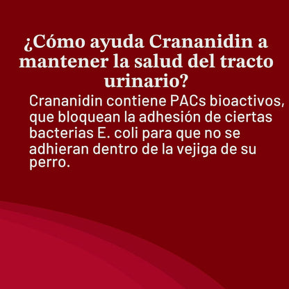 Nutramax Laboratories Crananidin Extracto de Arándano Suplemento pa...