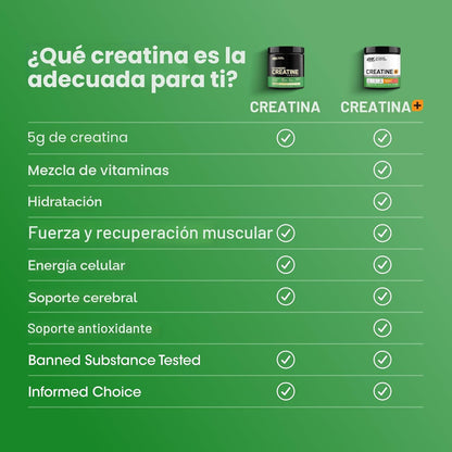 Optimum Nutrition Creatina Micronizada Monohidrato en Polvo, Sin Sa...