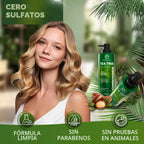 Juego de champú y acondicionador de árbol de té, sin sulfato, cuida...