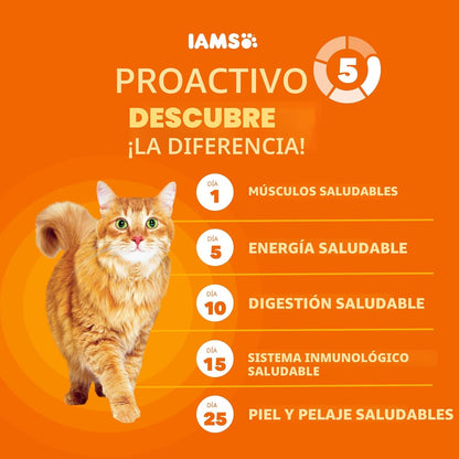 IAMS Proactive Health Alimento seco saludable para gatos adultos co...