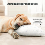 Paquete de 2 almohadas para niños de 2 años a 5,13 x 18 pulgadas (n...