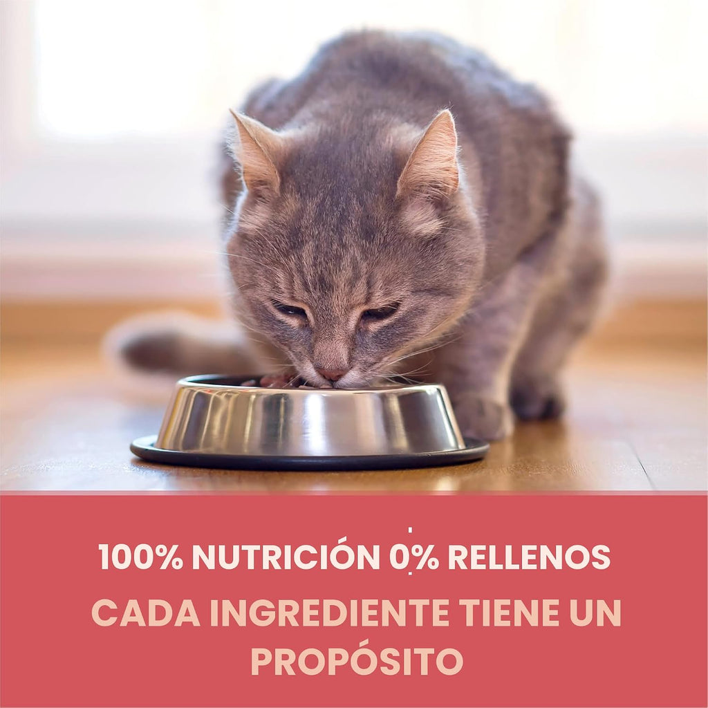 Purina ONE Alimento Natural para Gatos Bajo en Grasa, Alimento Seco...