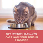 Purina ONE Alimento Natural para Gatos Bajo en Grasa, Alimento Seco...