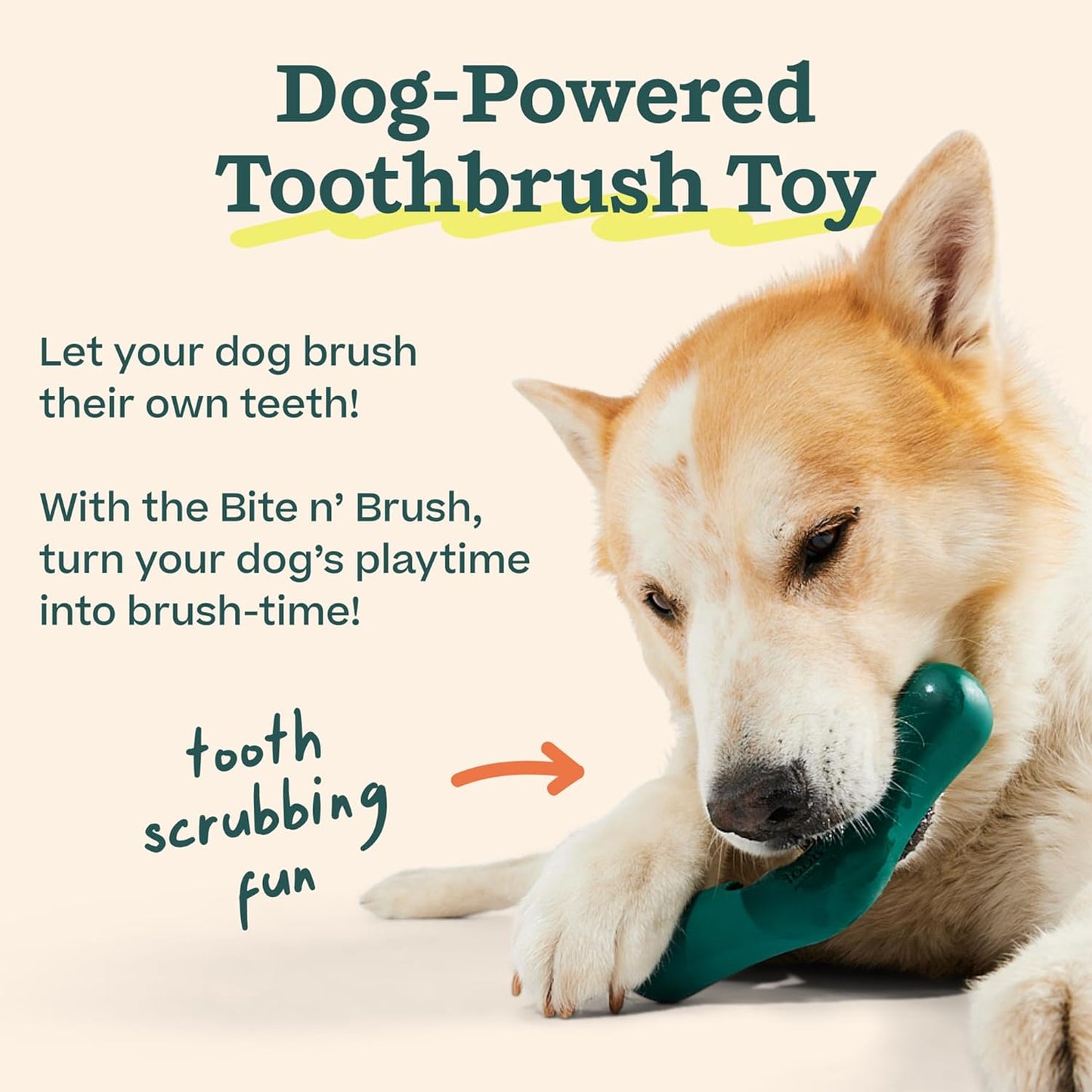 WOOF - Recambios de Morder y Cepillar para el Juguete Cepillo de Di...