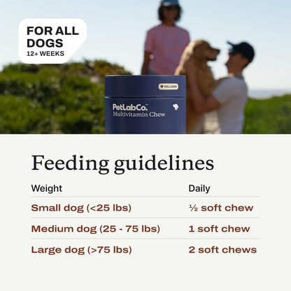 PetLab Co. Multivitamínico para perros 22 en 1 - Apoyo a la respues...