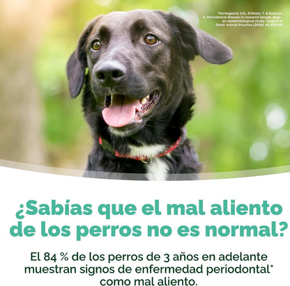 TropiClean - Aditivo de agua para refrescar el aliento de los perro...