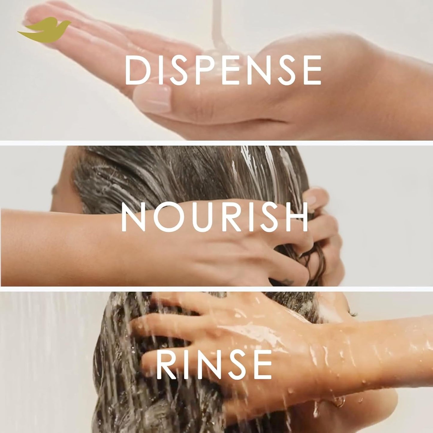 Dove Acondicionador de coco e hidratación para cabello seco con tecnología de cuidado de bio-proteínas y aceite de coco, 28 onzas líquidas