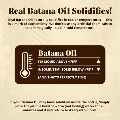 Aceite de Batana para el Crecimiento del Cabello – Aceite de Batana 100% Puro y Orgánico de Honduras – Fortalece, Espesa y Restaura el Cabello Natural – Tratamiento Capilar y del Cuero